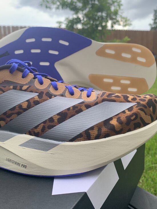 Adidas Adizero Evo SL Leopard Print Running Shoes Men 10.5 Women 11.5 JS4493 main image 7